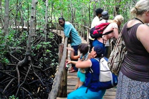 Zanzibar Jozani Forest Salaam Cave och Mtende Beach privat tur