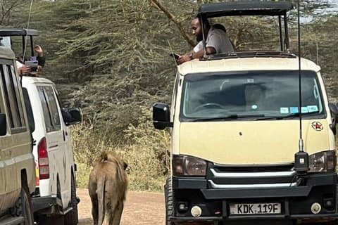 Safari de un día en el Parque Nacional de Nairobi con opción a cena