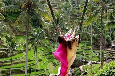 Bali: Ubud Tour Highlights All-Inclusive