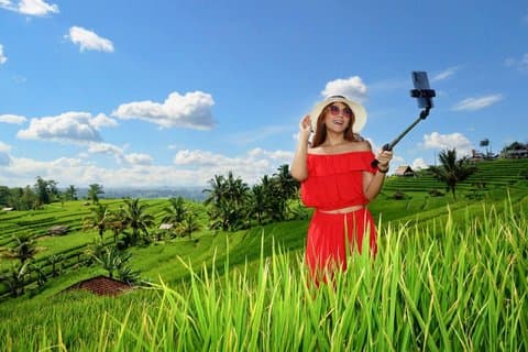 Jatiluwih en Ulun Danu Tempel Tour met Transfer op Bali