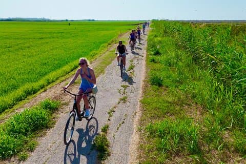 Cykeluthyrning för att utforska Ebrodeltat