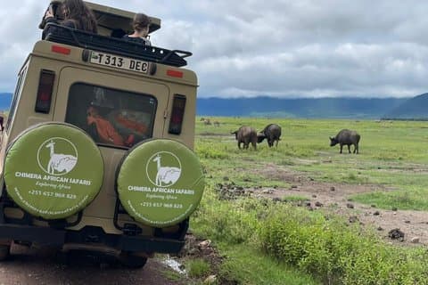 4-dages safari i Tarangire til Serengeti og Ngorongoro krater