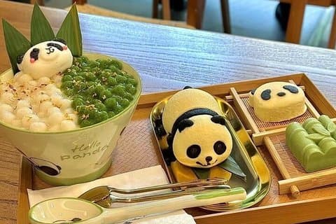 Chengdu Halber Tag : Private Tour zum Thema Panda mit Guide auf Englisch
