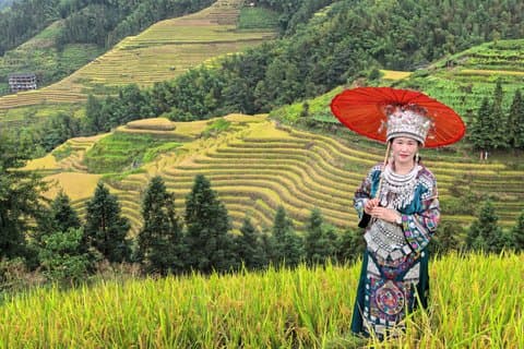 Guilin : Viaggio avventura sulle terrazze di riso Longji in ZANBUS