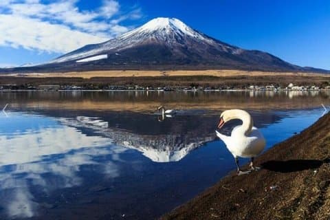Visite privée de Fuji : Lac Yamanakako, Gotemba Outlets & Onsen