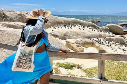 Private halbtägige Boulders Beach Penguins und Simon’s Town Tour