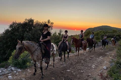 Dubrovnik Equitazione Kojan Koral