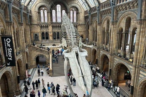 Visita guiada Museo de Historia Natural de Londres