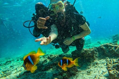 Sharm El Sheikh Ras Mohammed by Bus National Park Snorkelling