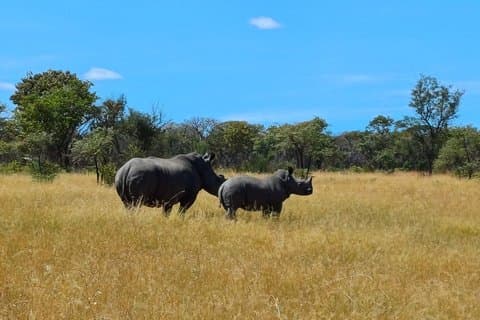 Excursão de 12 dias Grand Zimbabwe Explorer