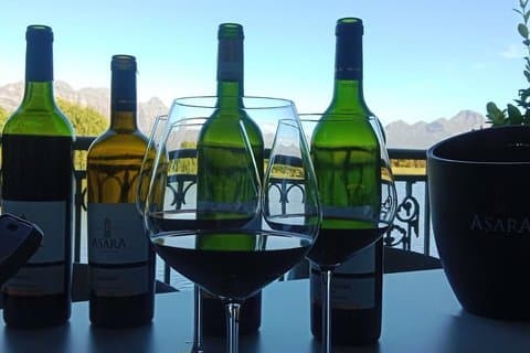 Kaapse Wijnlanden: Franschhoek en Stellenbosch Experience Tour