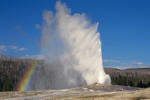 Yellowstone Discovery Tour