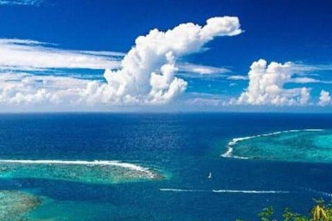 Papeete: Excursión de un día a Moorea en catamarán de lujo.