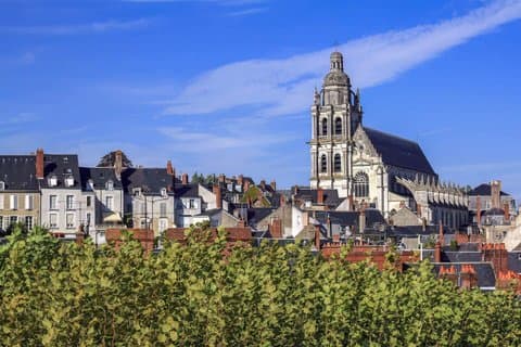 Hello Blois : Privat 2 - Hour Intro Stadsvandring med Local Guide