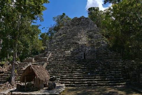 Privat rundtur i Coba Utforska mayaruinerna och heliga Cenotes