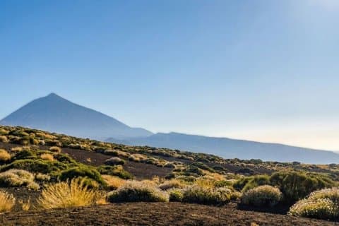Visita guiada privada ao Teide e ao norte de Tenerife