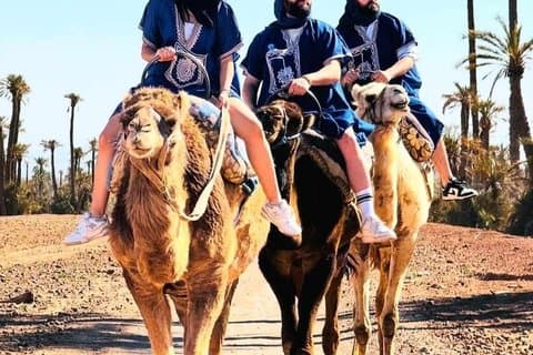 Camel Adventure i Palmerie ørkenen Marrakech