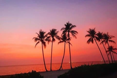 Discover Sunset Town