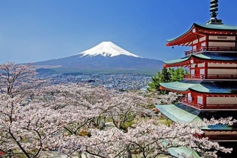 Mt Fuji Day Tour from Tokyo