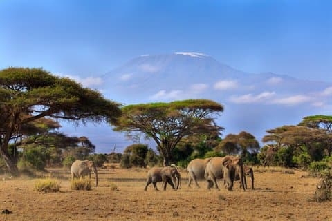 2 Tage Amboseli Mittelklasse Unterkunft Safari