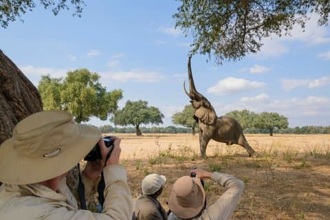 4 dias Lake Naivasha e Masai Mara Wildlife Luxury Safari