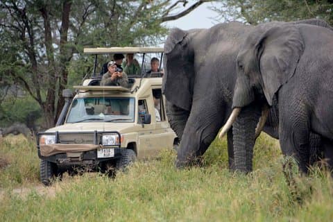 7 dager fra safari støv til ocean breeze