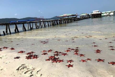 Phu Quoc Rach Vem Fishing Village Day Tour
