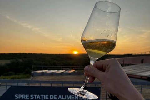 Timisoara Petro Vaselo Winery Tour and Wine Tasting