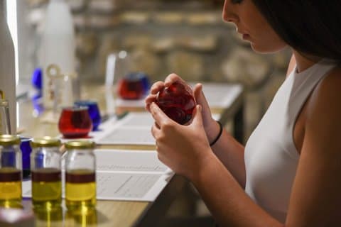 Olive Oil Tasting in Cazorla