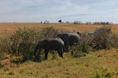 Oldonyo Sabuk Ganztägige private Wanderung von Nairobi