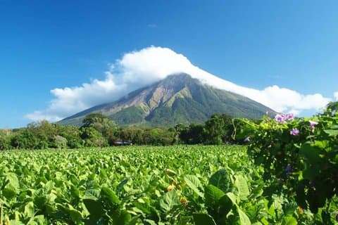 Excursión de aventura al volcán Mombacho con cena