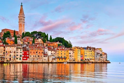Visite privée de Rovinj Dolphin Watching (2 heures)