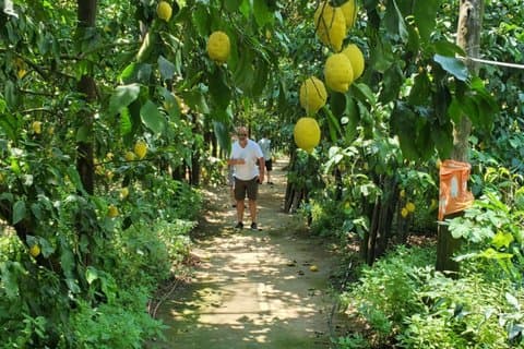 Lemon Grove promenad och provsmakning Oper Bar Aperitivo i Sorrento