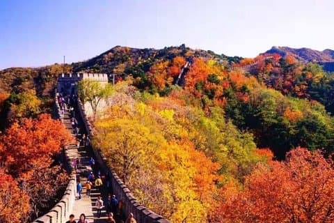 Peking: Förbjudna staden och Mutianyu-muren (all-inclusive)