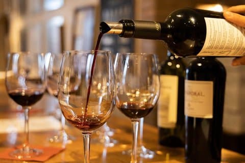 3 vingårder Mendoza vin tur med gourmet 5 kurs lunsj