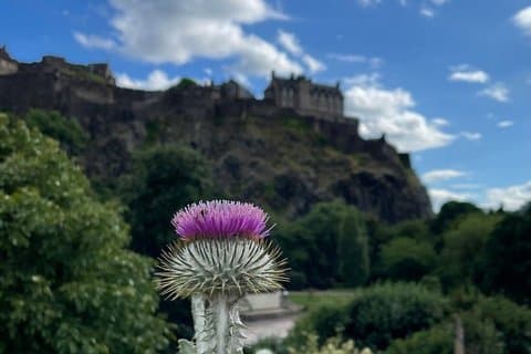 Privat dagstur til Edinburgh