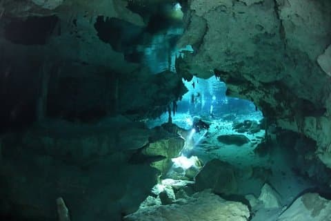 Dos Ojos Cenote Dive : Barbie Line & Bat Cave – 2 plongées