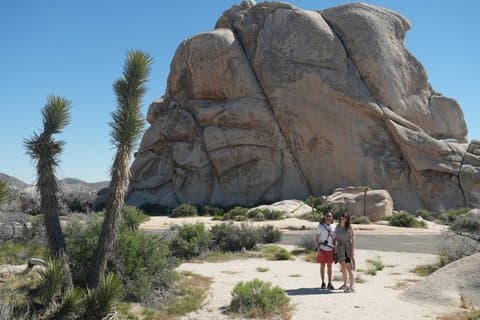 1 - Avventura privata di un giorno al Parco nazionale di Joshua Tree da San Diego