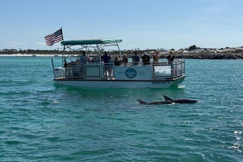 Dolphin Sightseeing and Shell Island Snorkel Tour