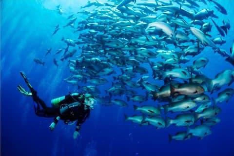 PADI Advanced Open Water Diver Course