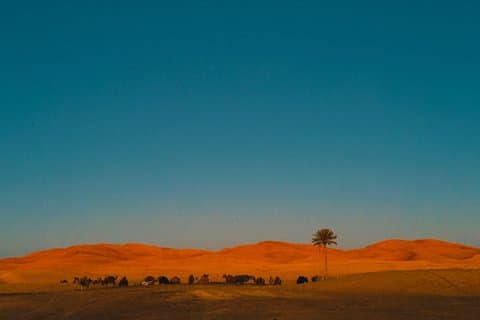 3-dagers ørken-eventyr fra Marrakech til Merzouga