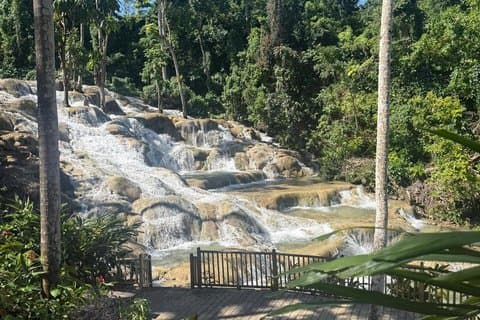 Private Dunns River Falls en winkelen vanuit Kingston