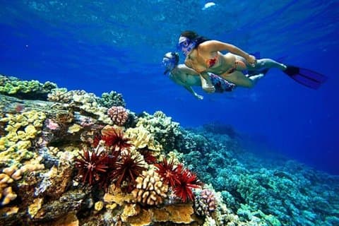 Dahab snorkelen, gekleurde kloof & jeepsafaritour vanuit Sharm