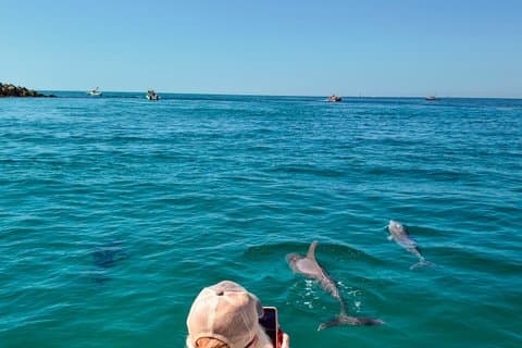 2-Hour Private Dolphin Boat Tour to Shell Island