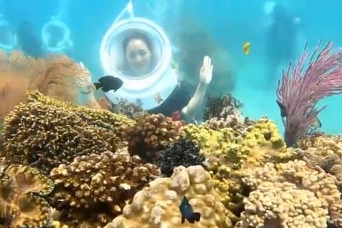 Découvrez la marche en mer dans la baie de Nha Trang