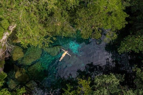 Punta Cana : Cenotes und Höhlenschwimmen Eco Adventure