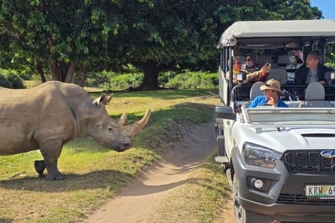 Schotia Safari de dientes y garras (vehículo abierto 4x4)