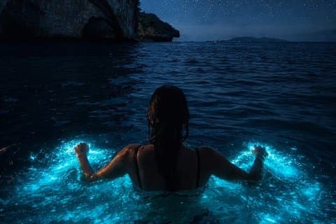 Bioluminescentie en zonsondergang lokale boottocht naar het Los Arcos-reservaat