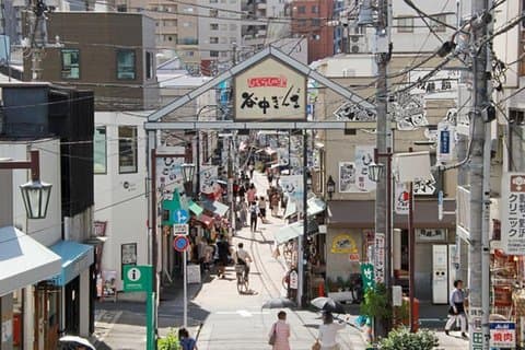 Gjemte Yanaka og Nezu: Autentisk gamle Tokyo Escape – gåtur