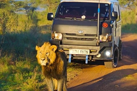 Nairobi Park Safari, Elephant Orphanage and Giraffe Centre Tour.